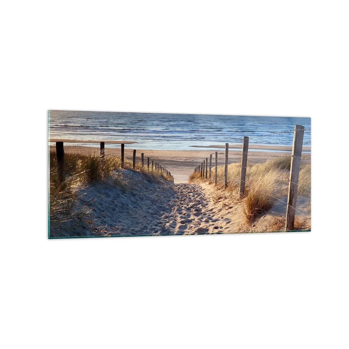 Impression sur verre - Image sur verre - Chemin à travers les dunes menant à la plage - 120x50cm - Le bruit de la mer, le chant des oiseaux, une plage sauvage parmi les herbes… - Décoration murale moderne pour le salon et la chambre ARTTOR