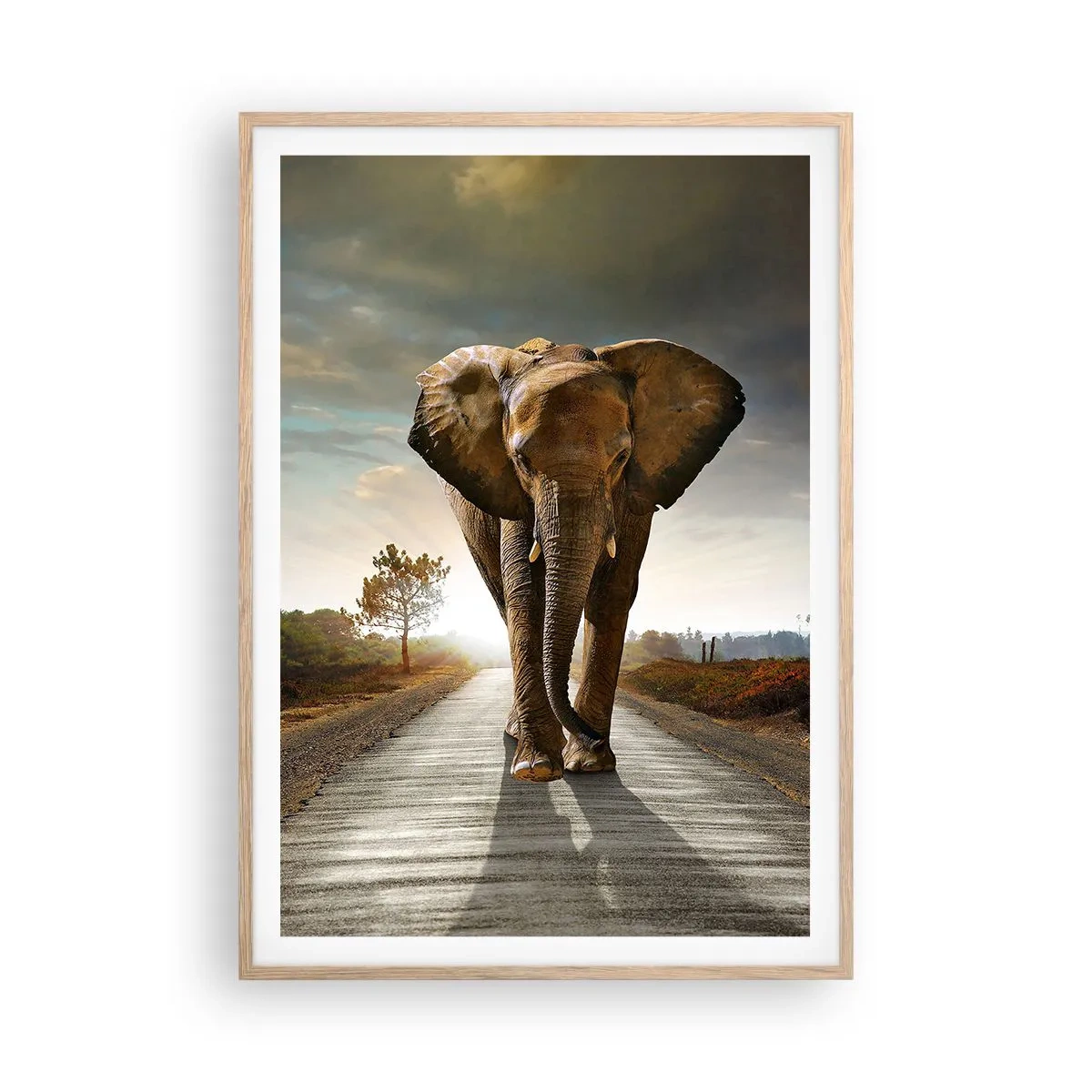 Affiche dans un chêne clair - Poster - Et pas du tout en porcelaine - 70x100 cm