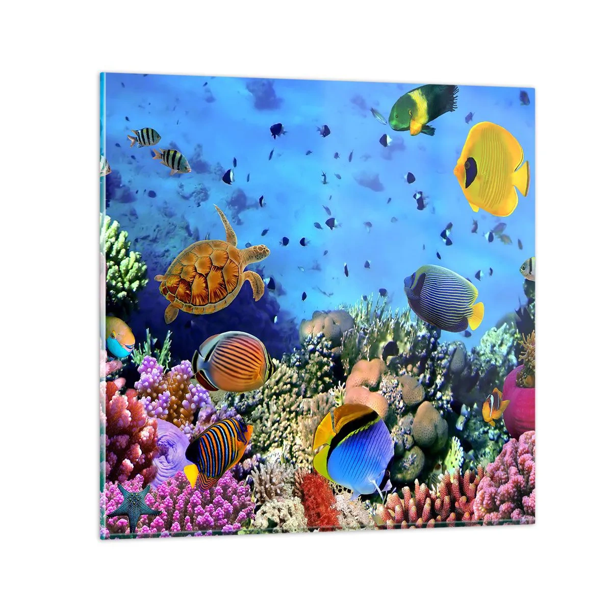 Impression sur verre - Image sur verre - Et que sait-on de la vie… - 60x60 cm