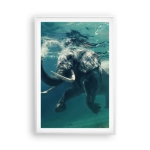 Affiche dans un cadre blanc - Poster - Tout le monde aime nager - 61x91 cm
