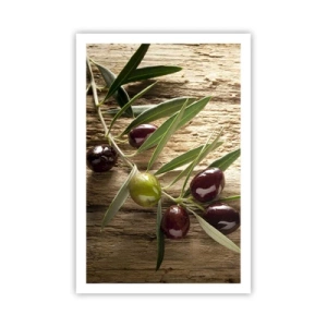 Affiche - Poster - Directement de la nature - 61x91 cm