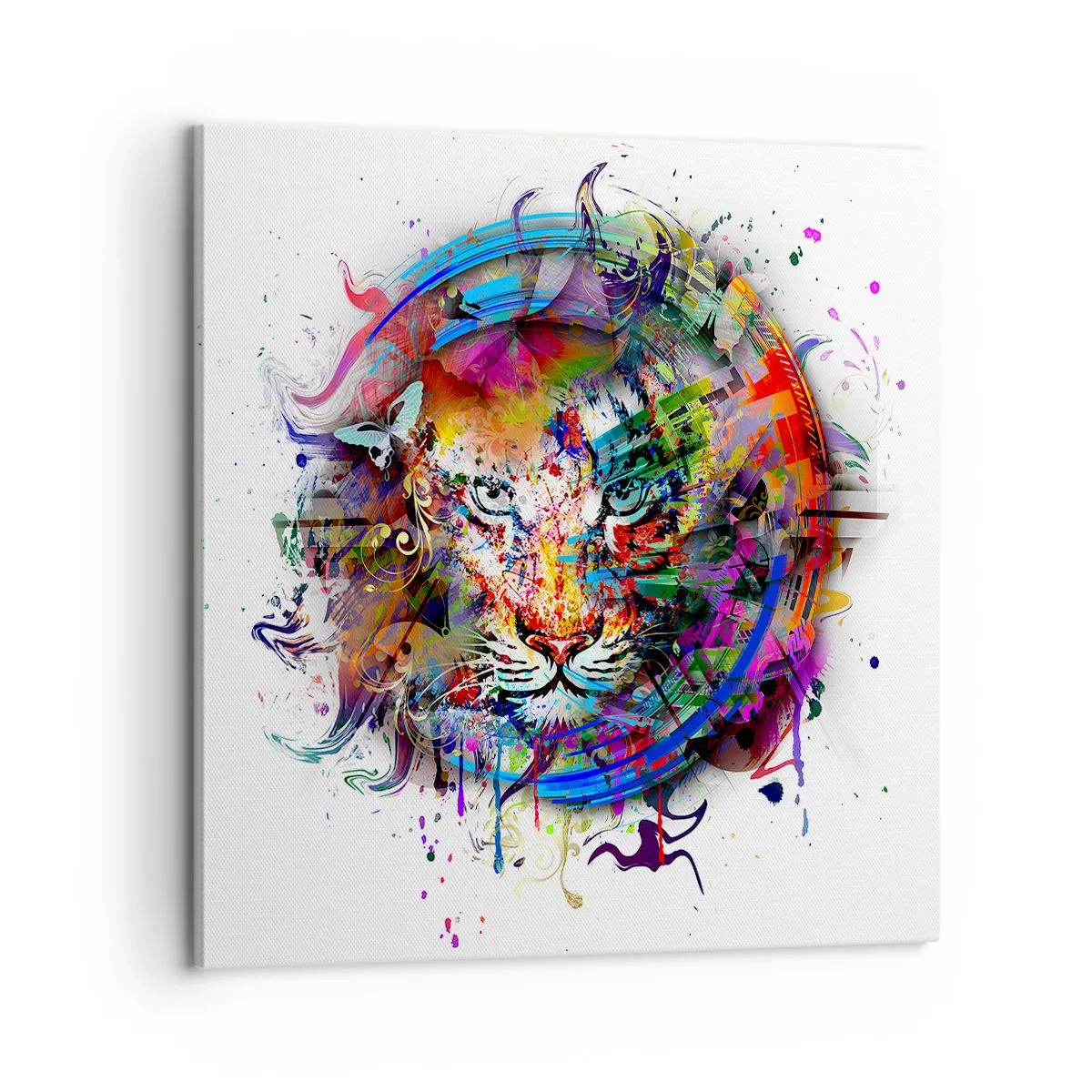 Impression sur toile - Image sur toile - Il se cache derrière un voile arc-en-ciel - 60x60 cm