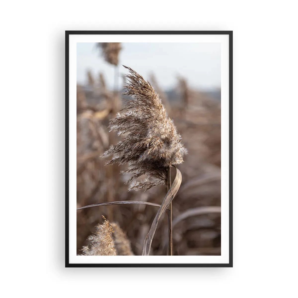 Affiche dans un cadre noir - Poster - Il est temps de s'envoler avec le vent - 70x100 cm