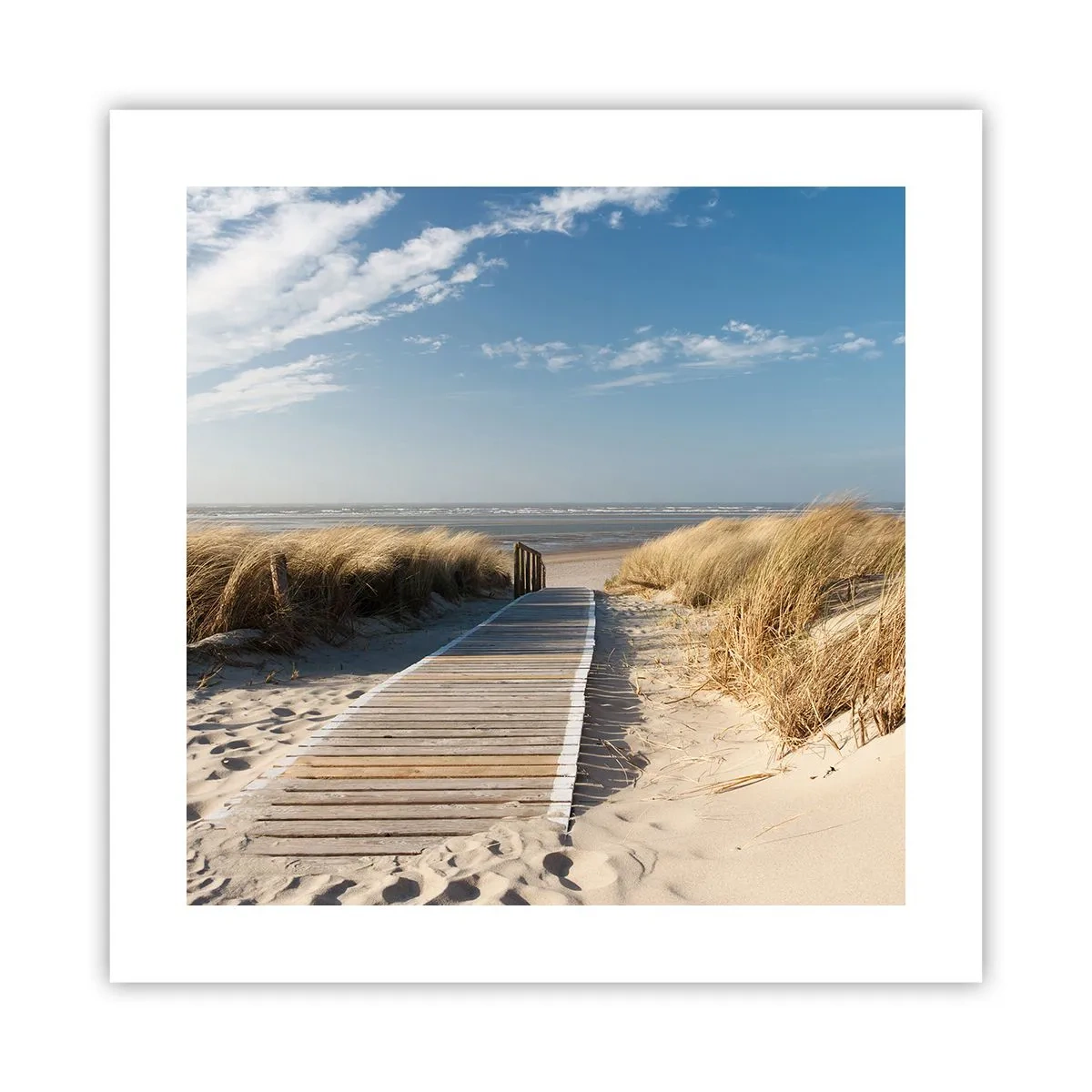 Affiche - Poster - Derrière la dune, dans le bruissement de l'herbe - 40x40 cm