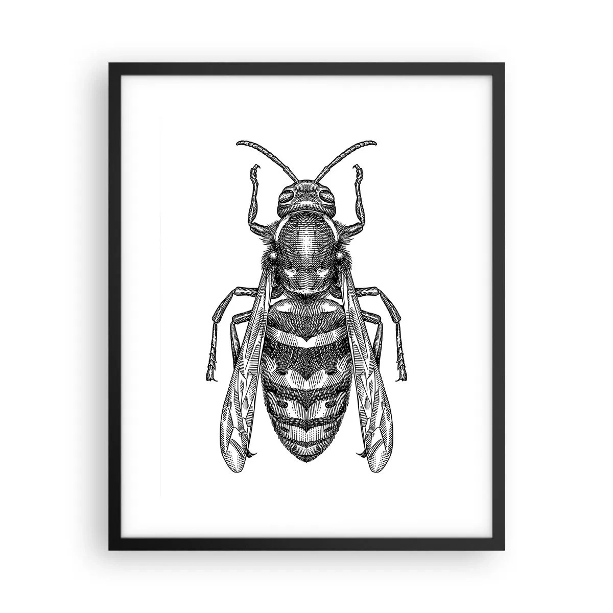 Affiche dans un cadre noir - Poster - D'une planète d'insectes - 40x50 cm
