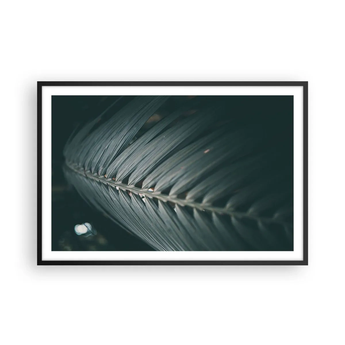 Affiche dans un cadre noir - Poster - Précision de la nature - 91x61 cm
