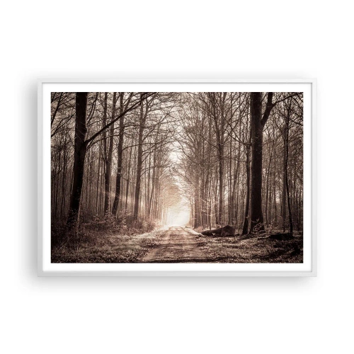 Affiche dans un cadre blanc - Poster - Cathédrale de la forêt - 100x70 cm