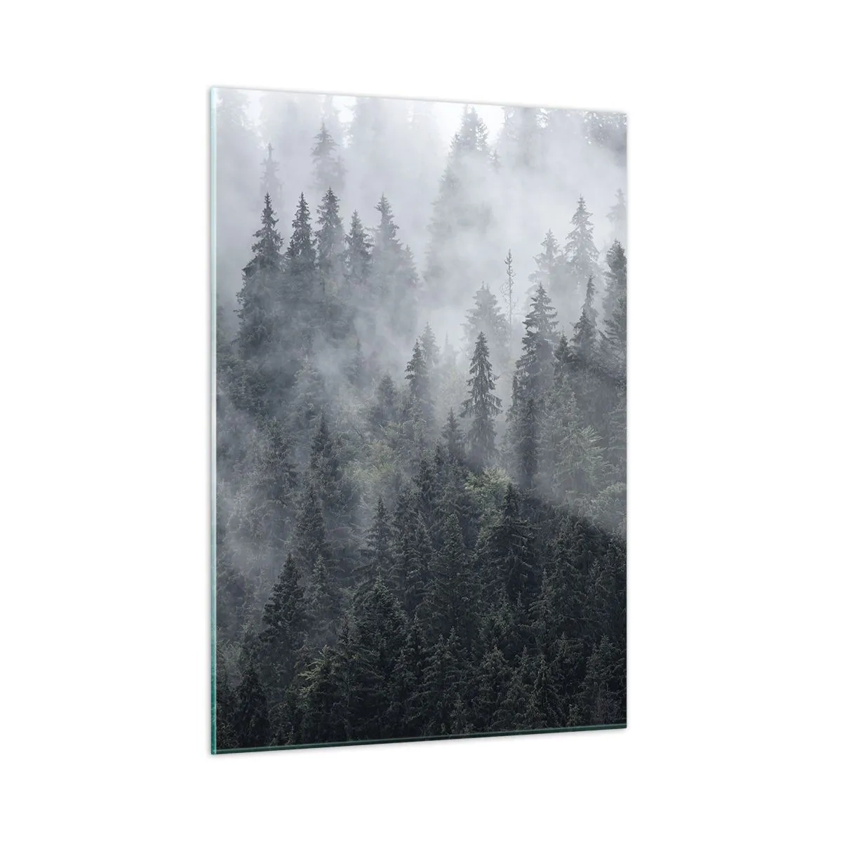 Impression sur verre - Image sur verre - Brouillard suspendu au-dessus de la dense forêt de conifères le matin - 50x70cm - Aube de la forêt - Décoration murale moderne pour le salon et la chambre ARTTOR