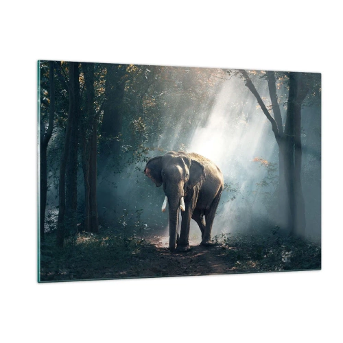 Impression sur verre - Image sur verre - Un éléphant marchant dans la forêt avec la lumière du soleil traversant les arbres. - 120x80cm - Une balade tranquille - Décoration murale moderne pour le salon et la chambre ARTTOR