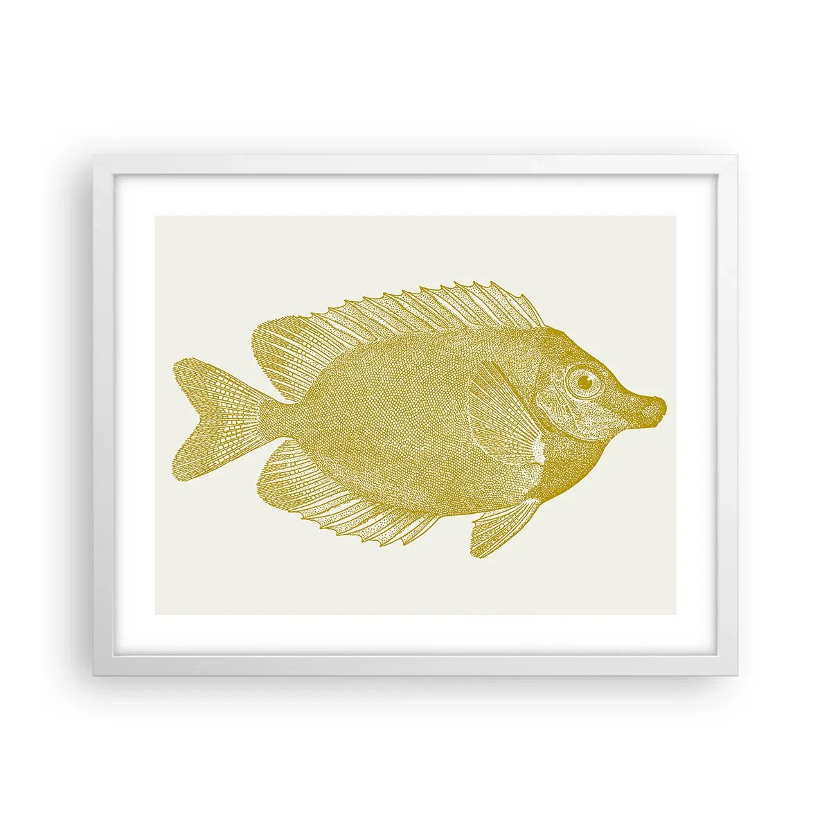 Affiche dans un cadre blanc - Poster - Du poisson et c'est tout - 50x40 cm