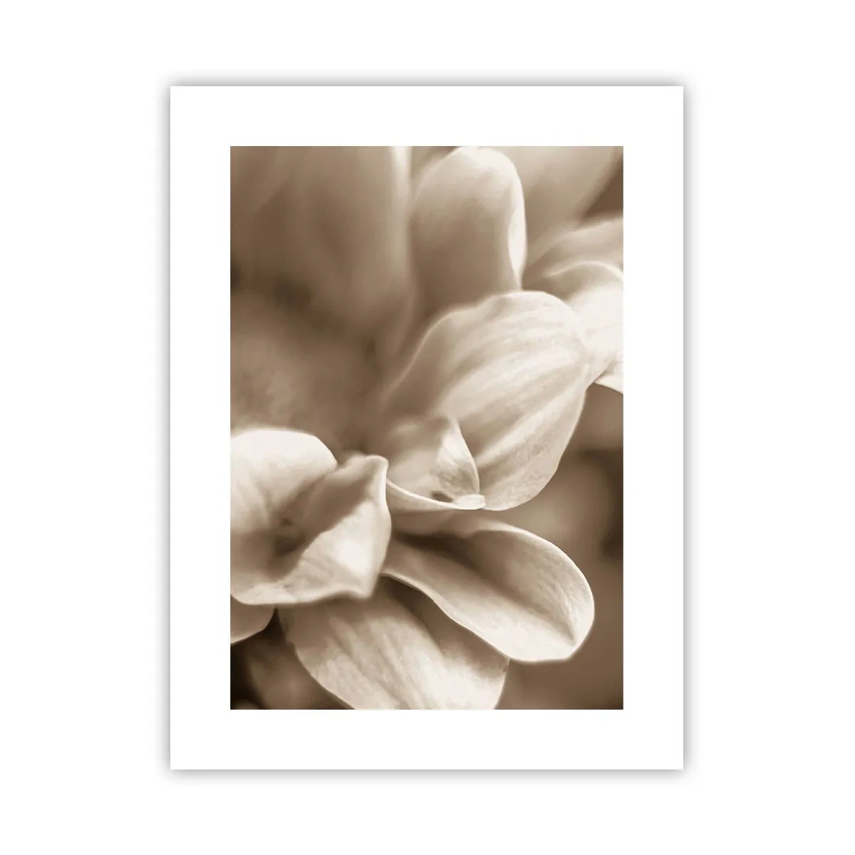 Affiche - Poster - Doux comme un sourire - 30x40 cm