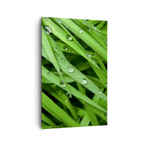 Impression sur toile - Image sur toile - Gros plan de brins d'herbe verte avec des gouttes de rosée - 80x120cm - Jouez dans le vert - Décoration murale moderne pour le salon et la chambre ARTTOR