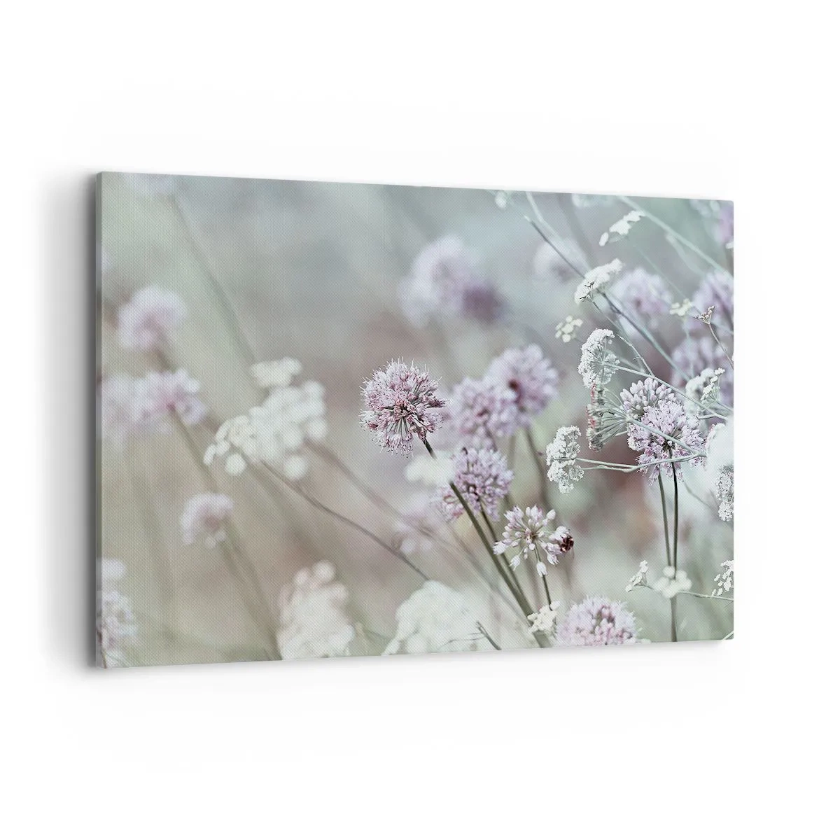 Impression sur toile - Image sur toile - Fleurs délicates aux tons pastel - 100x70cm - Herbes douces en filigrane - Décoration murale moderne pour le salon et la chambre ARTTOR