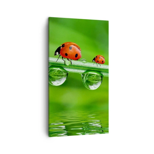 Impression sur toile - Image sur toile - Sur la route tout l'été - 45x80 cm