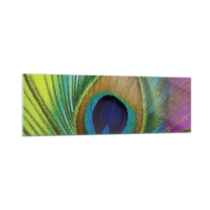 Impression sur verre - Image sur verre - Gros plan d'une plume de paon aux couleurs vives - 160x50cm - Les yeux dans les yeux - Décoration murale moderne pour le salon et la chambre ARTTOR