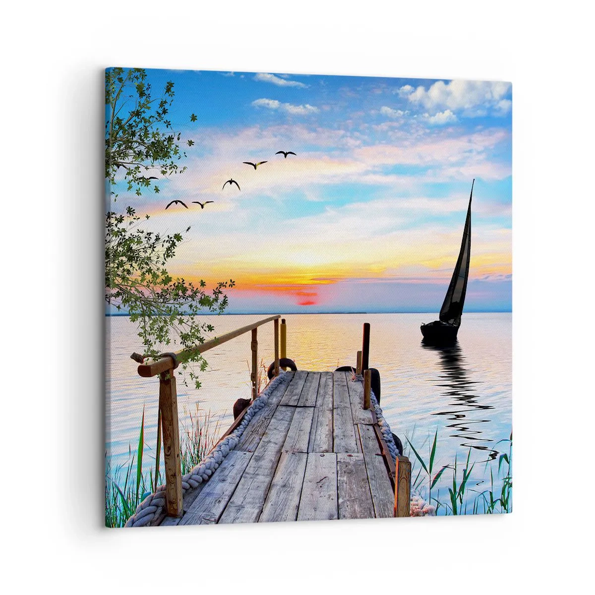 Impression sur toile - Image sur toile - Bonsoir! - 50x50 cm