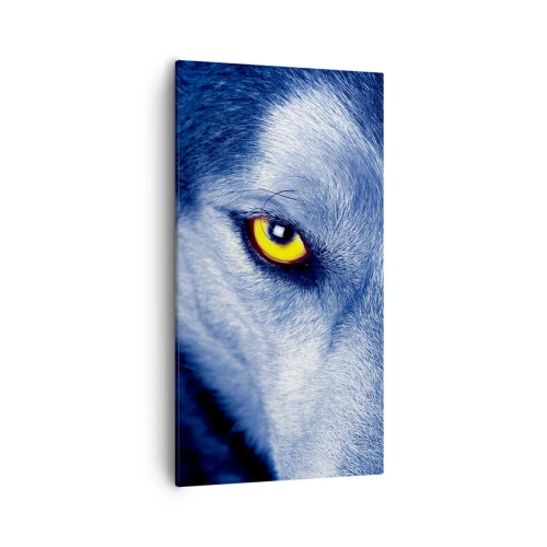 Impression sur toile - Image sur toile - Regars hypnotique - 55x100 cm