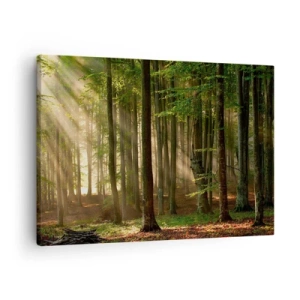 Impression sur toile - Image sur toile - Les rayons du soleil pénètrent à travers les arbres de la forêt - 70x50cm - Rayon d'un matin de printemps - Décoration murale moderne pour le salon et la chambre ARTTOR