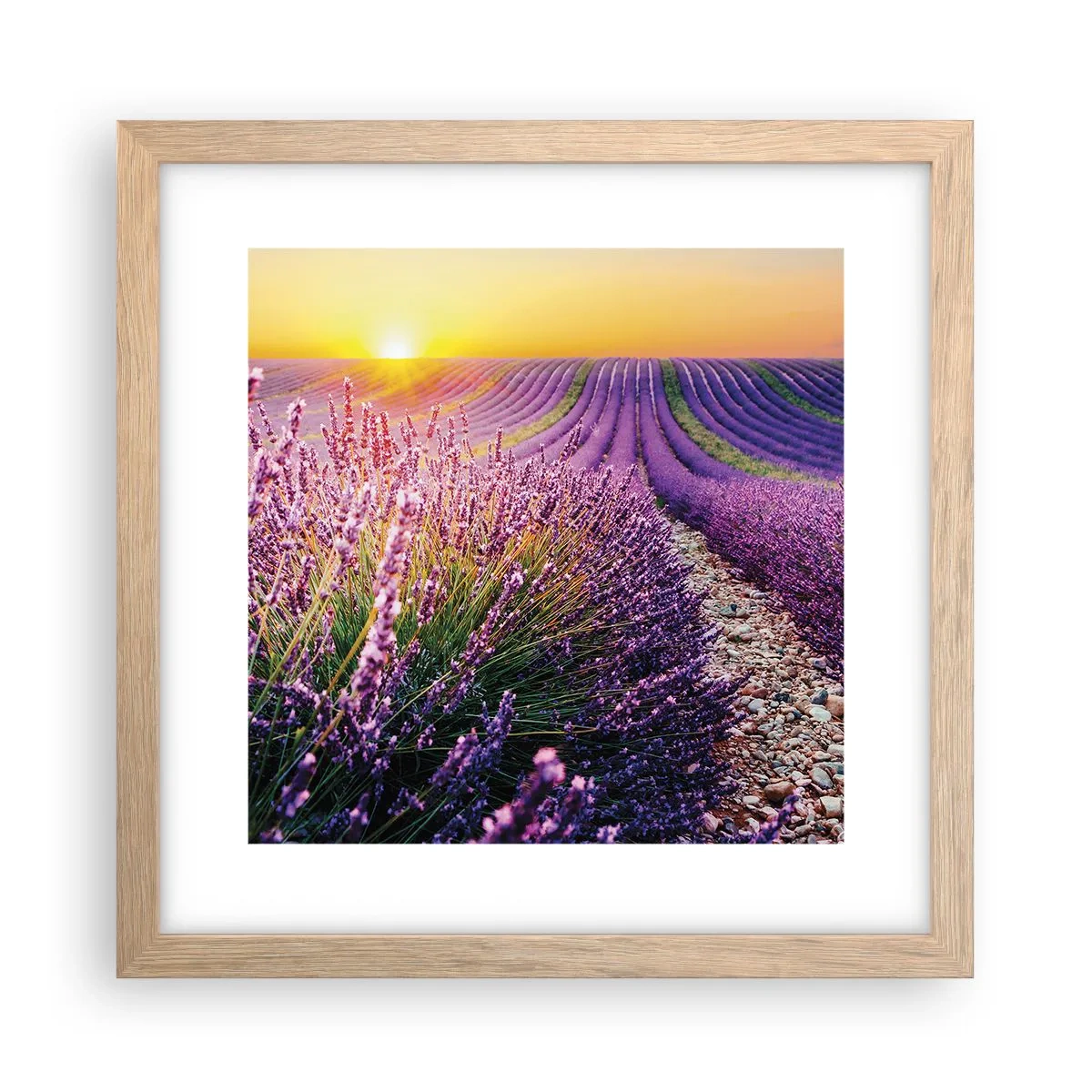 Affiche dans un chêne clair - Poster - Tige parfumée - 30x30 cm