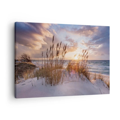 Impression sur toile - Image sur toile - Dunes avec des herbes sur fond de soleil couchant - 70x50cm - Salutations du soleil et du vent - Décoration murale moderne pour le salon et la chambre ARTTOR