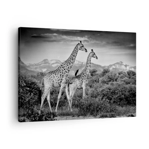 Impression sur toile - Image sur toile - Silhouettes noires et blanches de deux girafes dans la savane - 70x50cm - Hautes sphères en Afrique - Décoration murale moderne pour le salon et la chambre ARTTOR