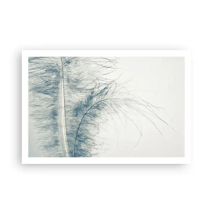 Affiche - Poster - Les sept natures - 91x61 cm