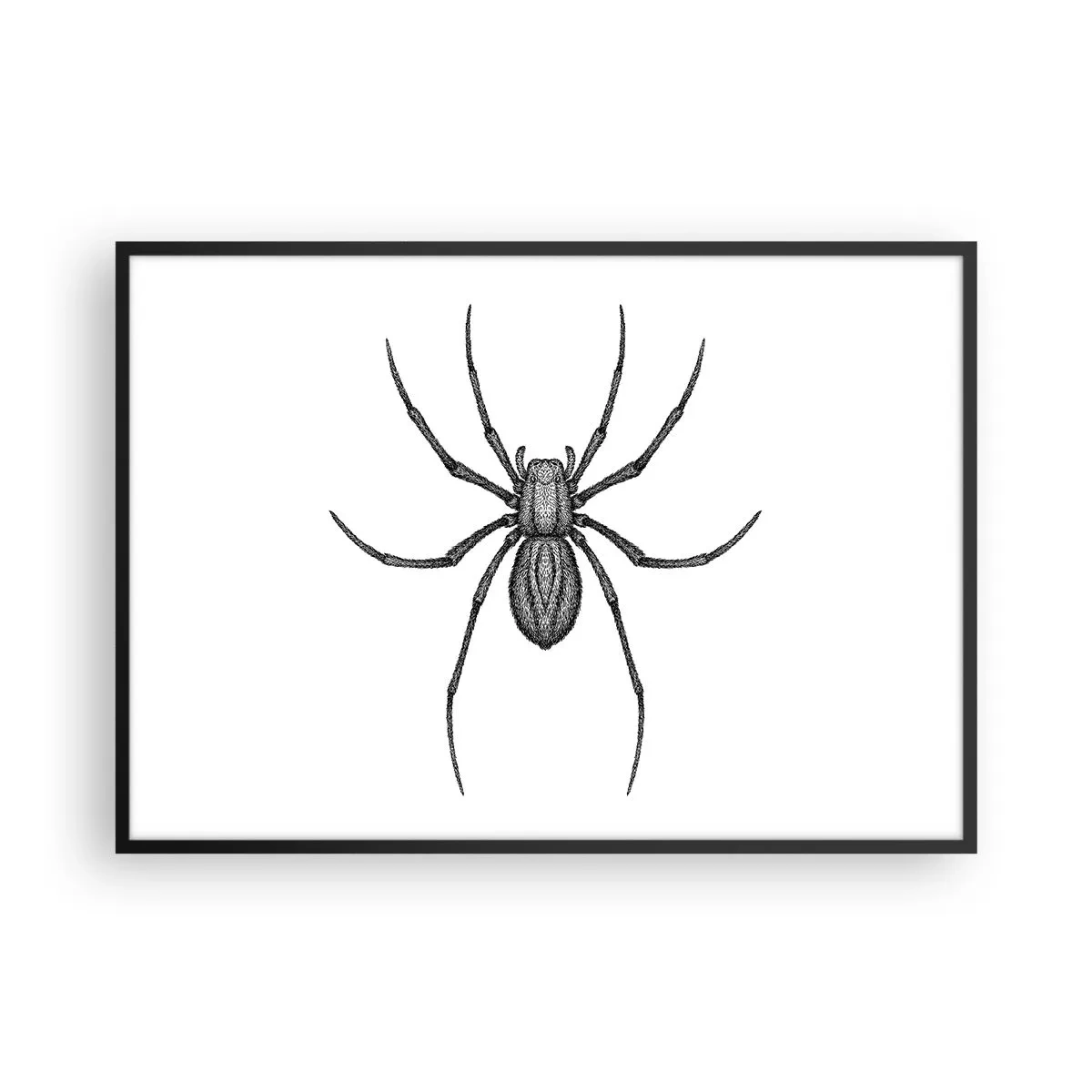 Affiche dans un cadre noir - Poster - Détail d'une araignée sur fond blanc dans un style dessin animé - 100x70cm - Une précision troublante - Décoration murale moderne pour le salon et la chambre ARTTOR