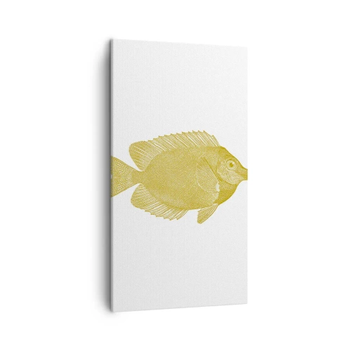 Impression sur toile - Image sur toile - Du poisson et c'est tout - 45x80 cm