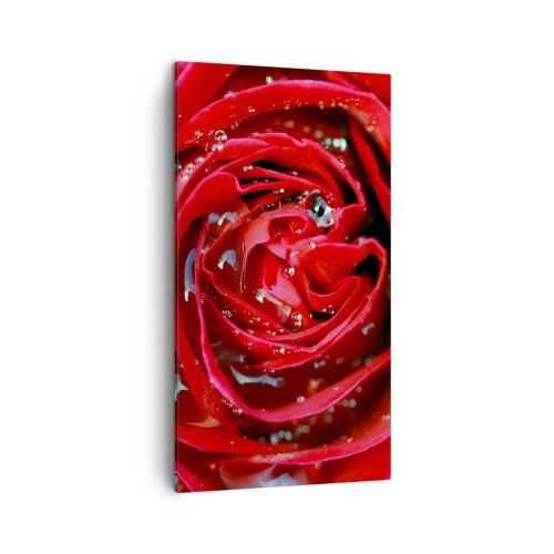 Impression sur toile - Image sur toile - Dans les gouttes de rosée - 45x80 cm