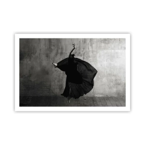 Affiche - Poster - Pas plein de passion - 91x61 cm