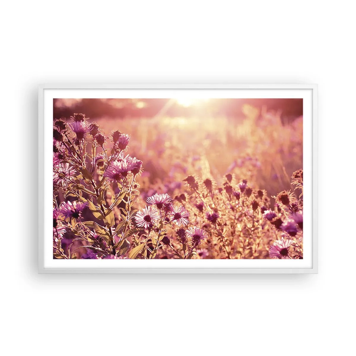 Affiche dans un cadre blanc - Poster - Avant que l'été ne parte - 91x61 cm