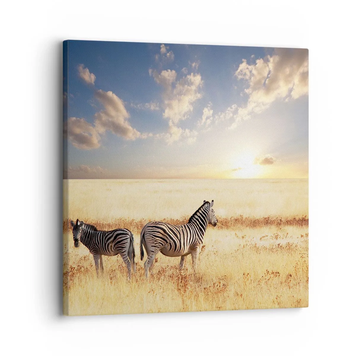 Impression sur toile - Image sur toile - Va-t'en, n'ai pas de paix - 30x30 cm