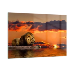 Impression sur verre - Image sur verre - Un lion sur fond de soleil couchant - 120x80cm - Le roi de la nature - Décoration murale moderne pour le salon et la chambre ARTTOR