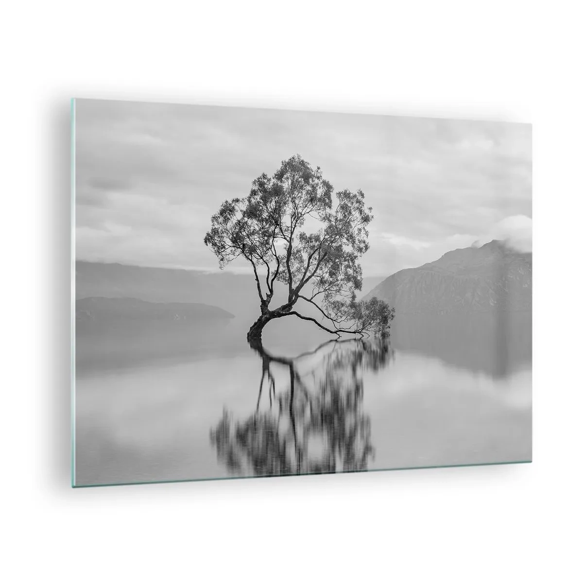 Impression sur verre - Image sur verre - Un arbre solitaire sur l'eau dans un paysage noir et blanc - 70x50cm - Un tel pays existe - Décoration murale moderne pour le salon et la chambre ARTTOR