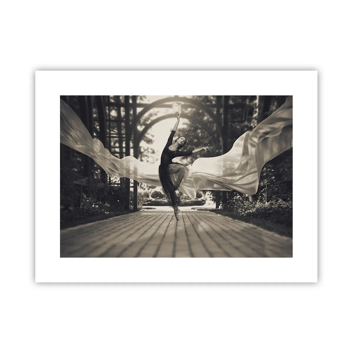 Affiche - Poster - La danse de l'esprit jardin - 40x30 cm