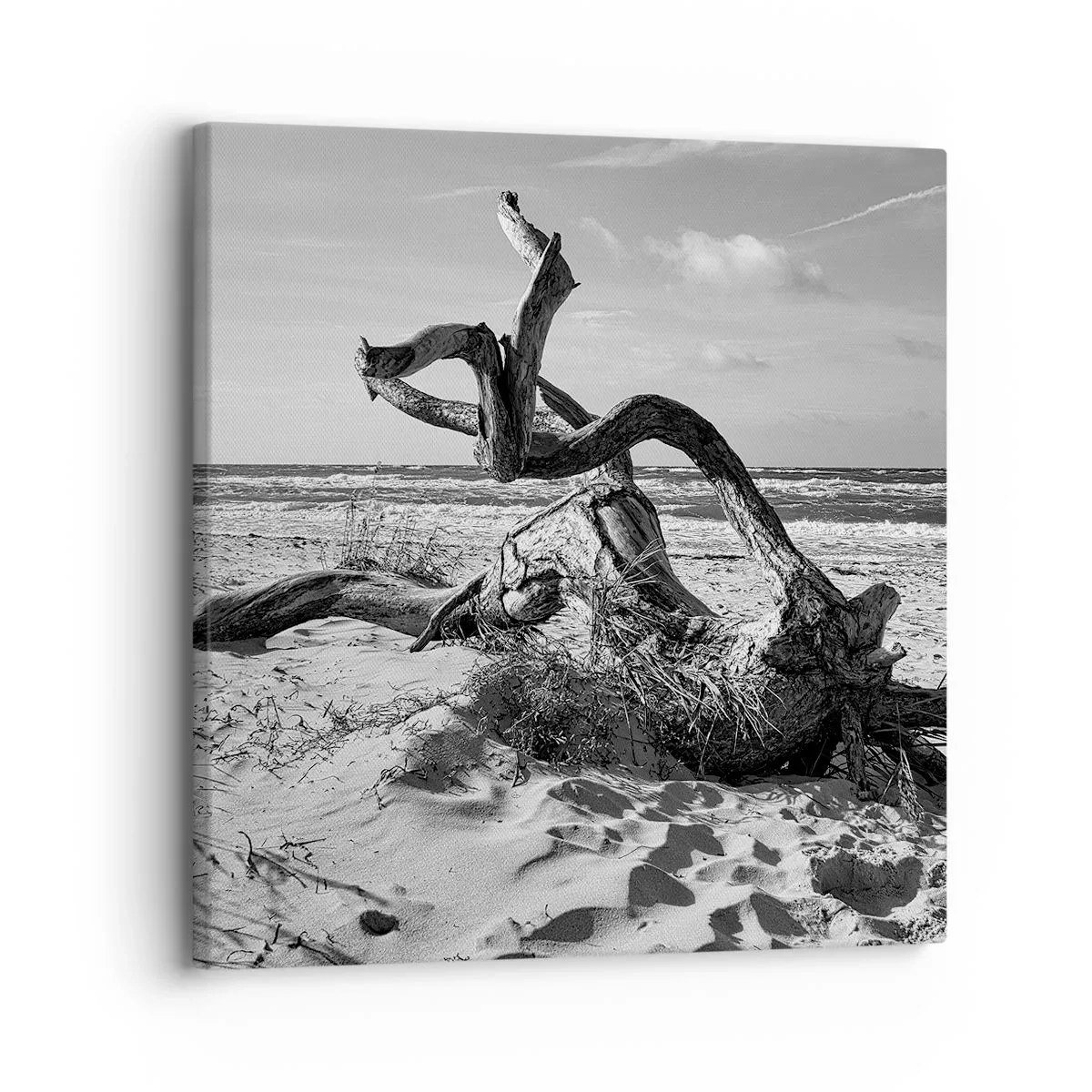 Impression sur toile - Image sur toile - Sculpture marine - 30x30 cm