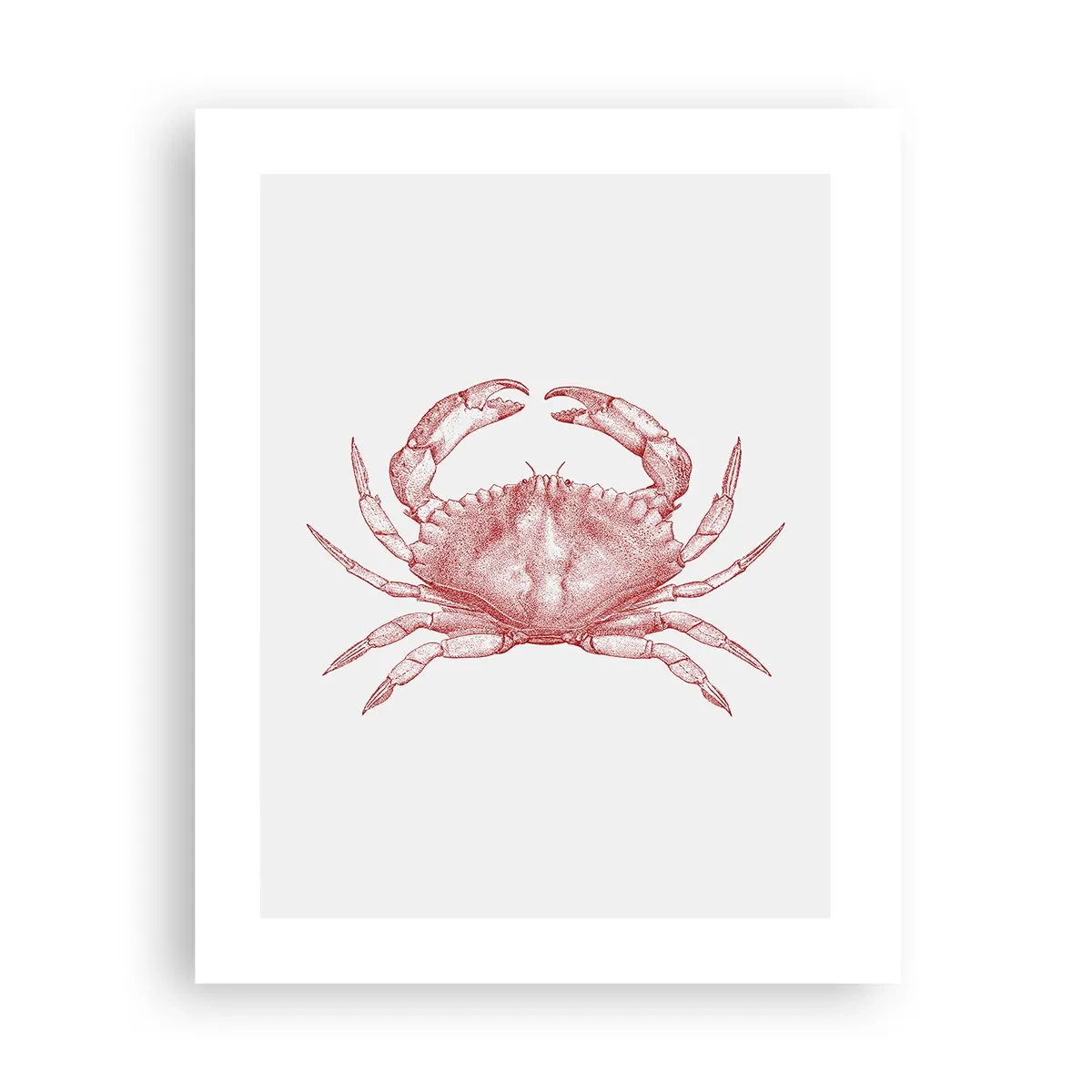 Affiche - Poster - Le crabe des crabes - 40x50 cm