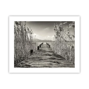 Affiche - Poster - Dans le calme de l'herbe - 50x40 cm