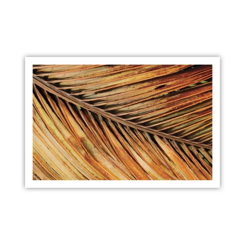 Affiche - Poster - Or de noix de coco - 91x61 cm