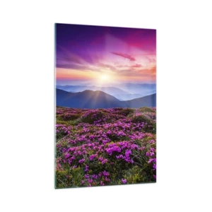 Impression sur verre - Image sur verre - Prairie de montagne avec des fleurs au coucher du soleil - 70x100cm - Les herbes sentaient les grappes fraîches de la récolte - Décoration murale moderne pour le salon et la chambre ARTTOR