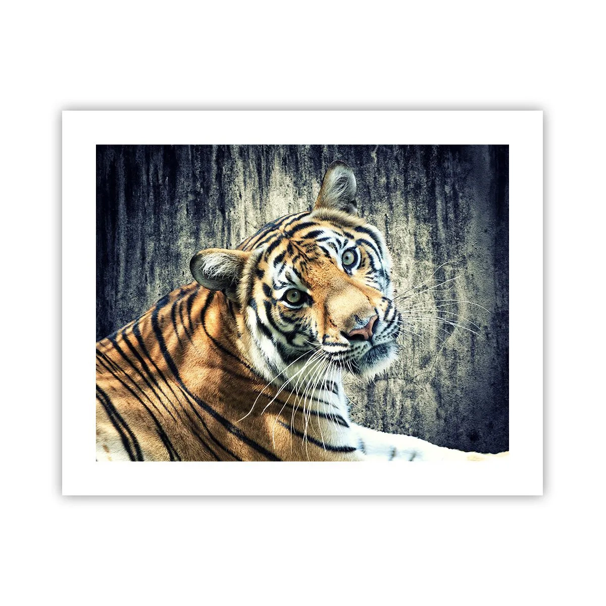 Affiche - Poster - Portrait dans les flots de lumière - 50x40 cm