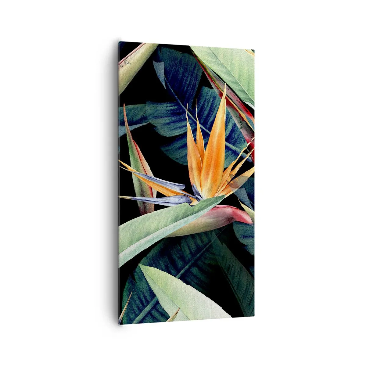 Impression sur toile - Image sur toile - Fleurs flamboyantes des tropiques - 65x120 cm
