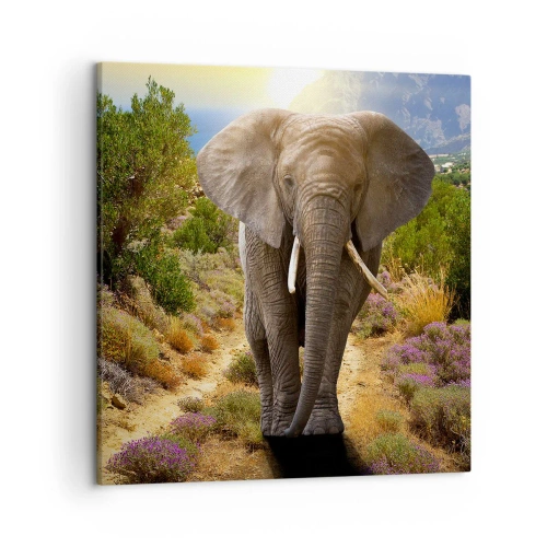 Impression sur toile - Image sur toile - Voilà à quoi ressemblait l'Eden - 50x50 cm