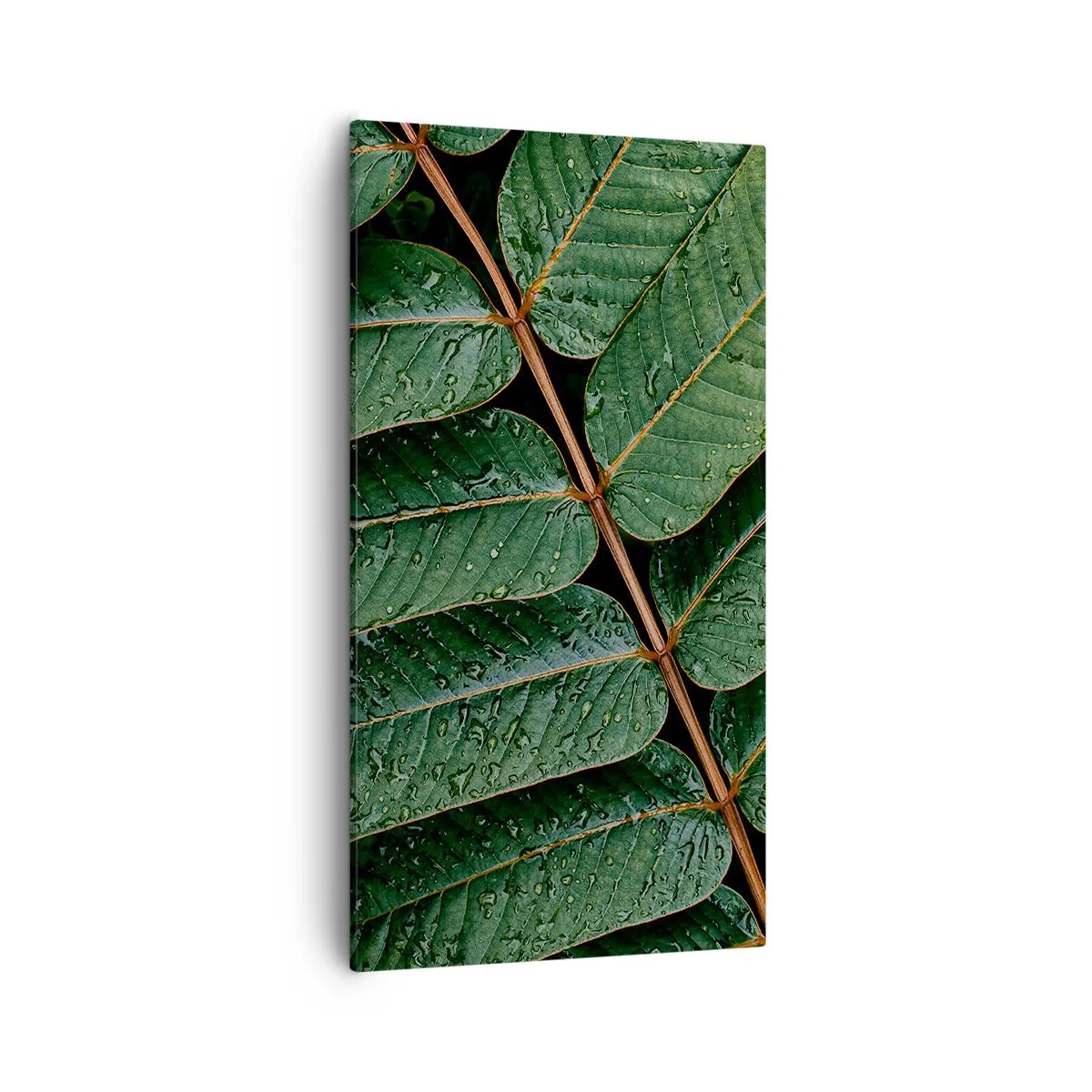 Impression sur toile - Image sur toile - Au rythme de la verdure - 55x100 cm