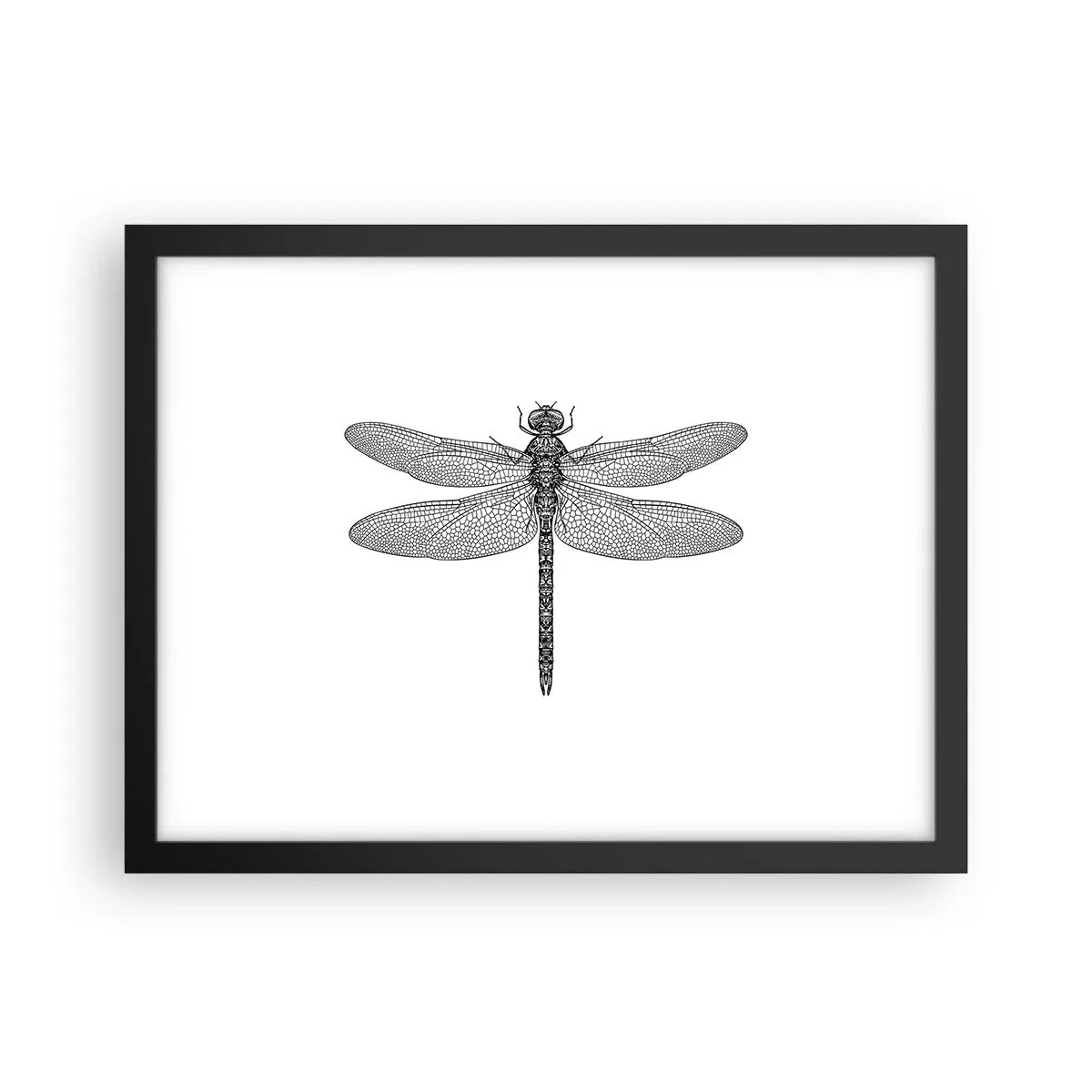 Affiche dans un cadre noir - Poster - Précision de la nature - 40x30 cm
