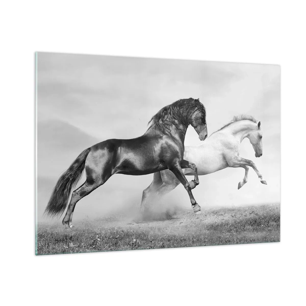Impression sur verre - Image sur verre - Chevaux noirs et blancs dans un cadre dynamique - 100x70cm - Anges et démons - Décoration murale moderne pour le salon et la chambre ARTTOR