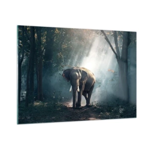 Impression sur verre - Image sur verre - Un éléphant marchant dans la forêt avec la lumière du soleil traversant les arbres. - 100x70cm - Une balade tranquille - Décoration murale moderne pour le salon et la chambre ARTTOR