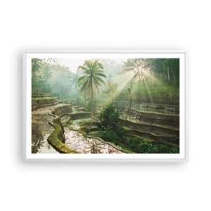 Affiche dans un cadre blanc - Poster - Grandir au soleil - 91x61 cm