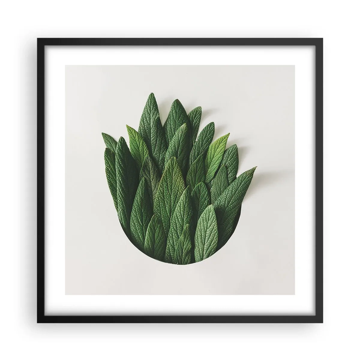 Affiche dans un cadre noir - Poster - Curiosité sans retenue - 50x50 cm