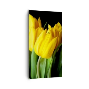 Impression sur toile - Image sur toile - Lever de soleil pur - 65x120 cm